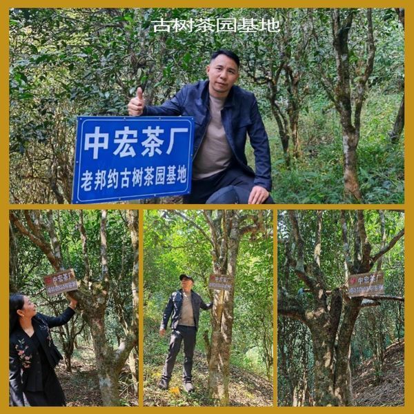 Шу Пуер Нуо Сян "NUO XIANG RUN PUER TEA" 7гр 1028 фото